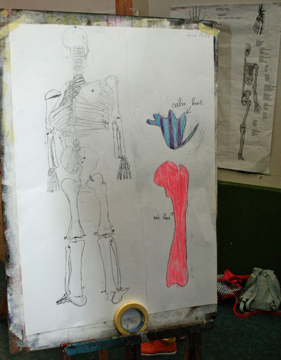 Joonistusel on kujutatud inimskelett ja selle kõrval üks triibuline sabaluu lüli ja neoonpunane reieluu