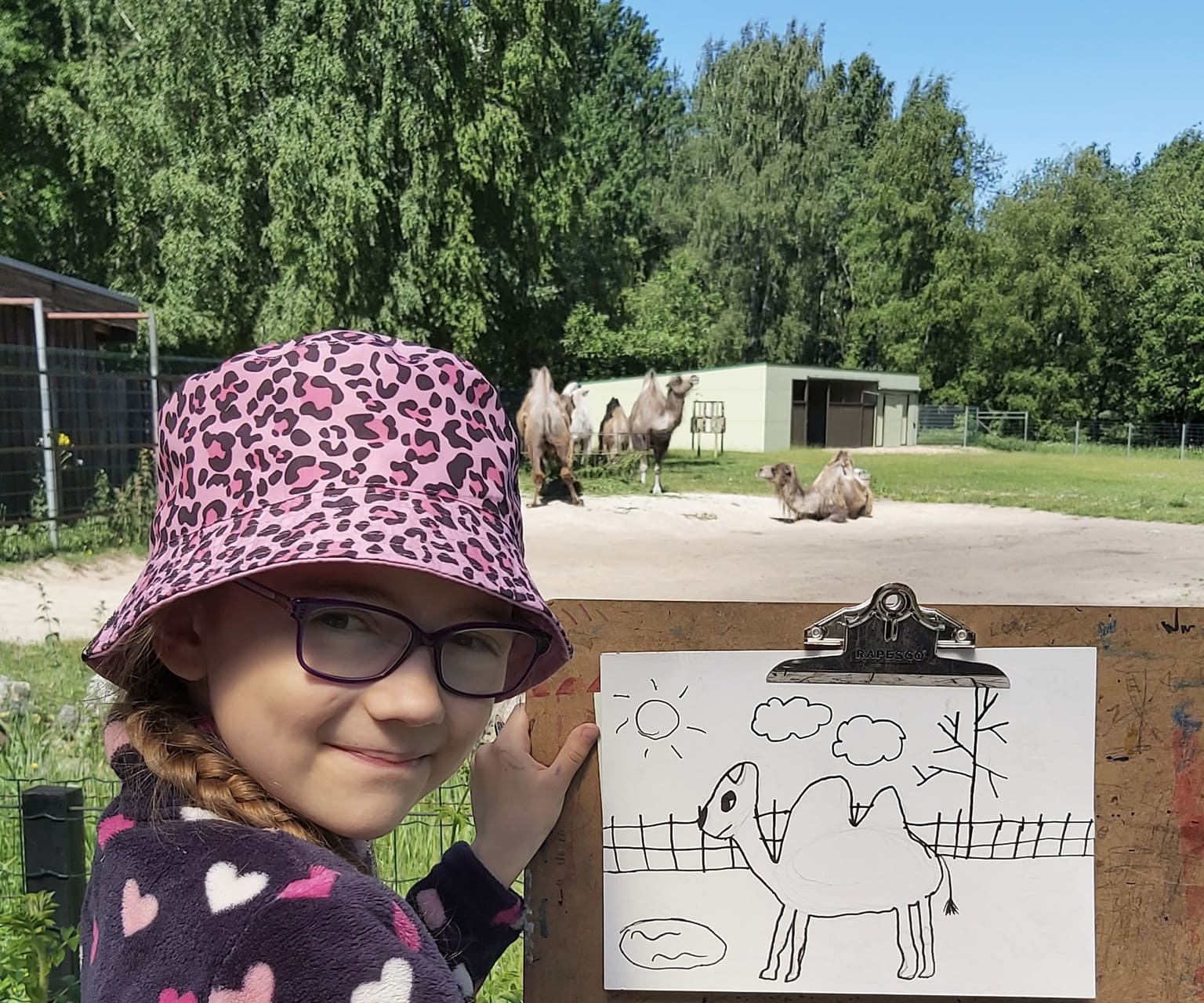 Foto kujutab loomaia vaadet kaamelitega ja Anna joonistust kaamelist oma tarandikus