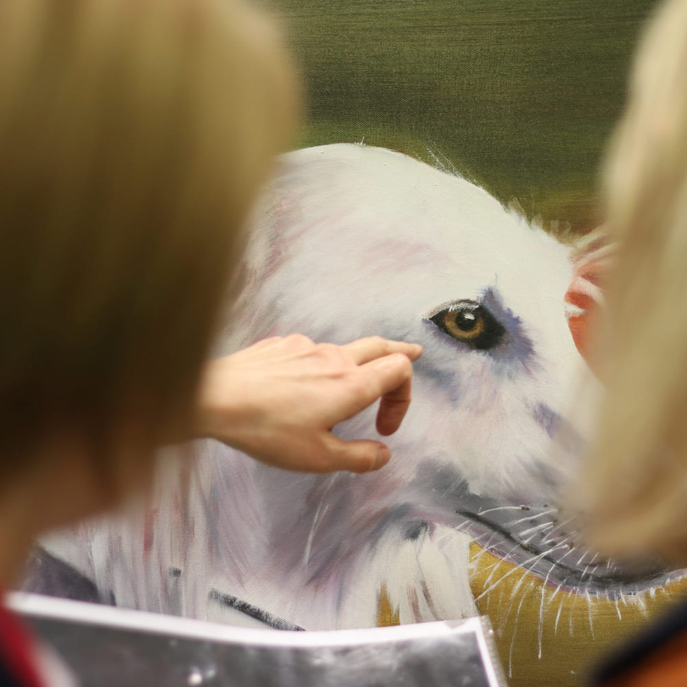 Kuidas maalida koera silma