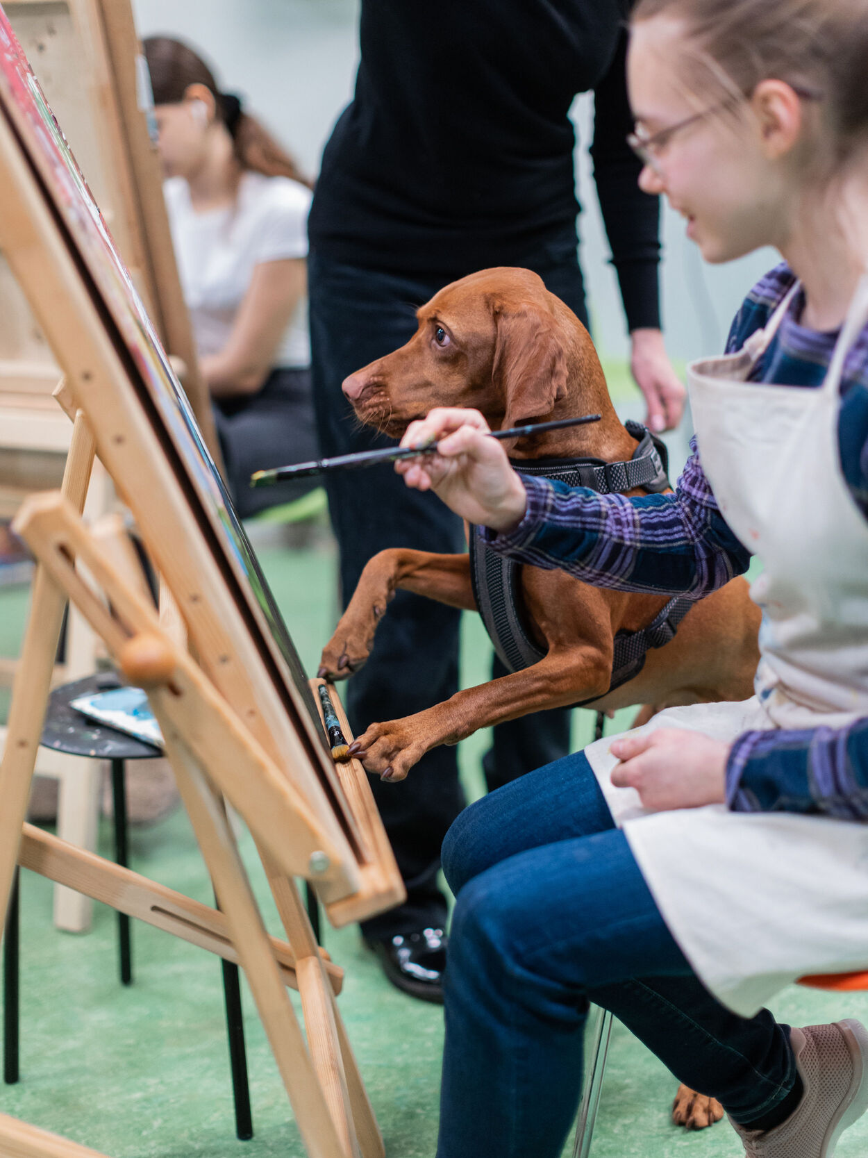 Sally-koer Della juhendab maalimist