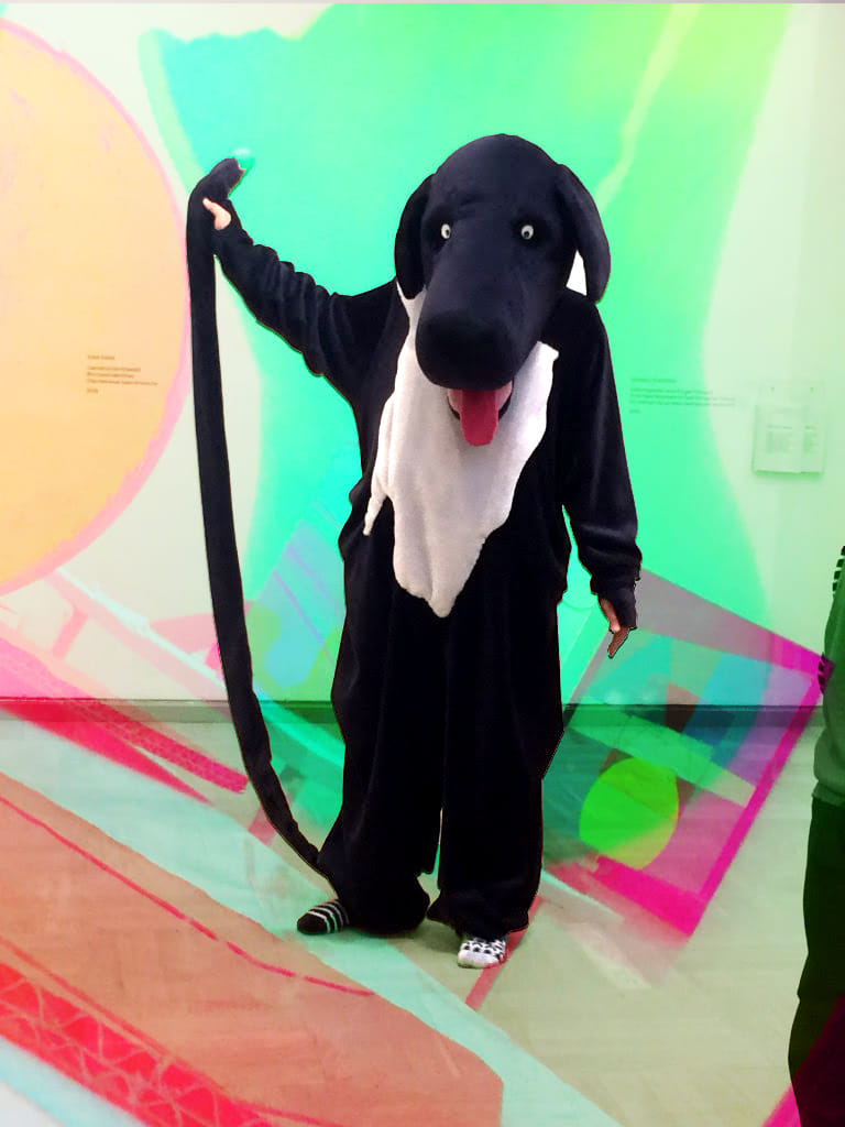 Sally koer näituse valgusväljas