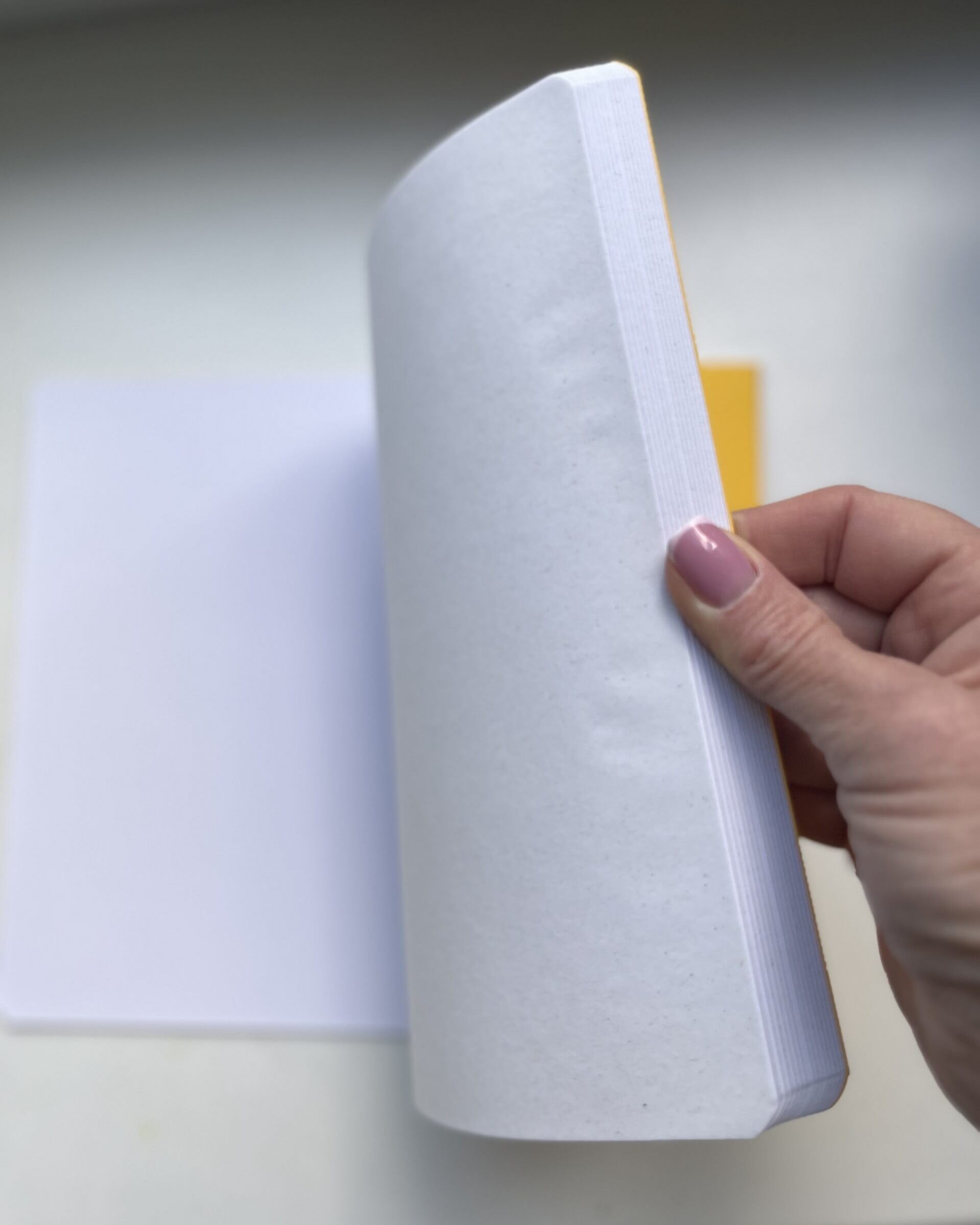 Sally visandivihiku paberinäidis