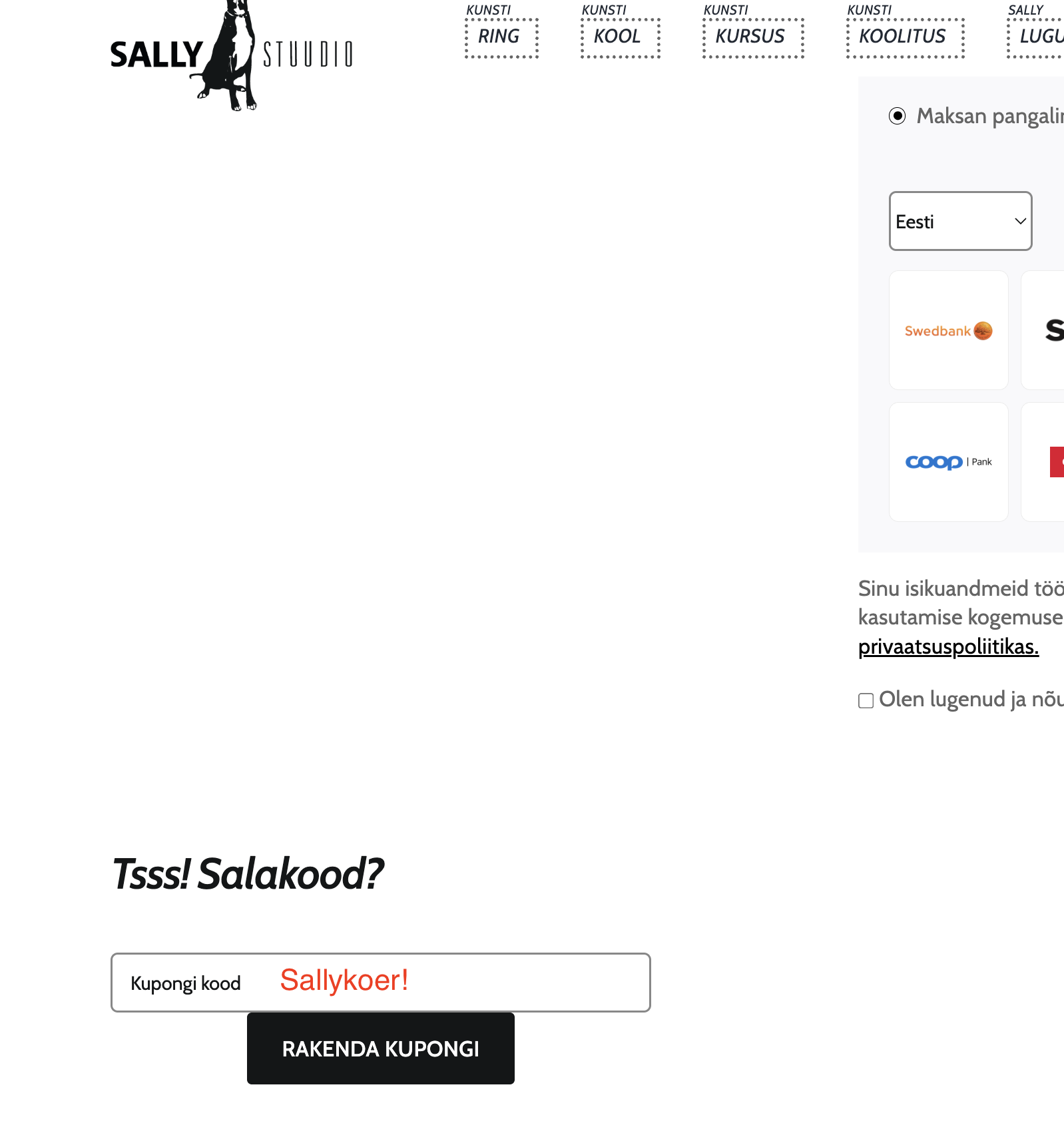 Kunstikooli sooduskood